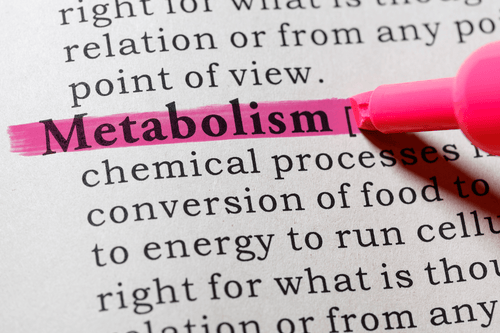 Keto Checklist: How To Know If You Have Adapted Your Metabolism