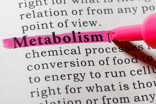 Keto Checklist: How To Know If You Have Adapted Your Metabolism Keto Checklist: How To Know If You Have Adapted Your Metabolism