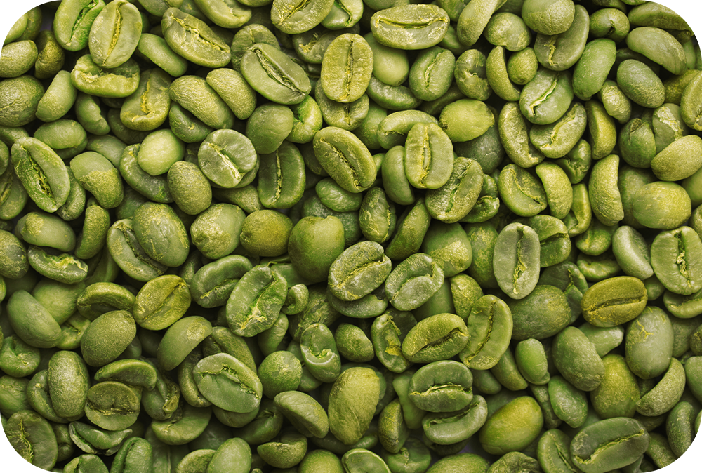 Energy, Mental Clarity & Appetite Suppression